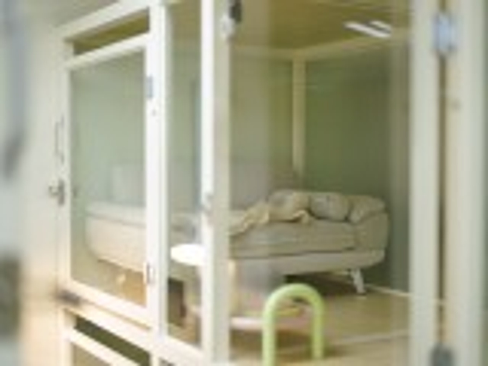 호텔 추가 사진 2