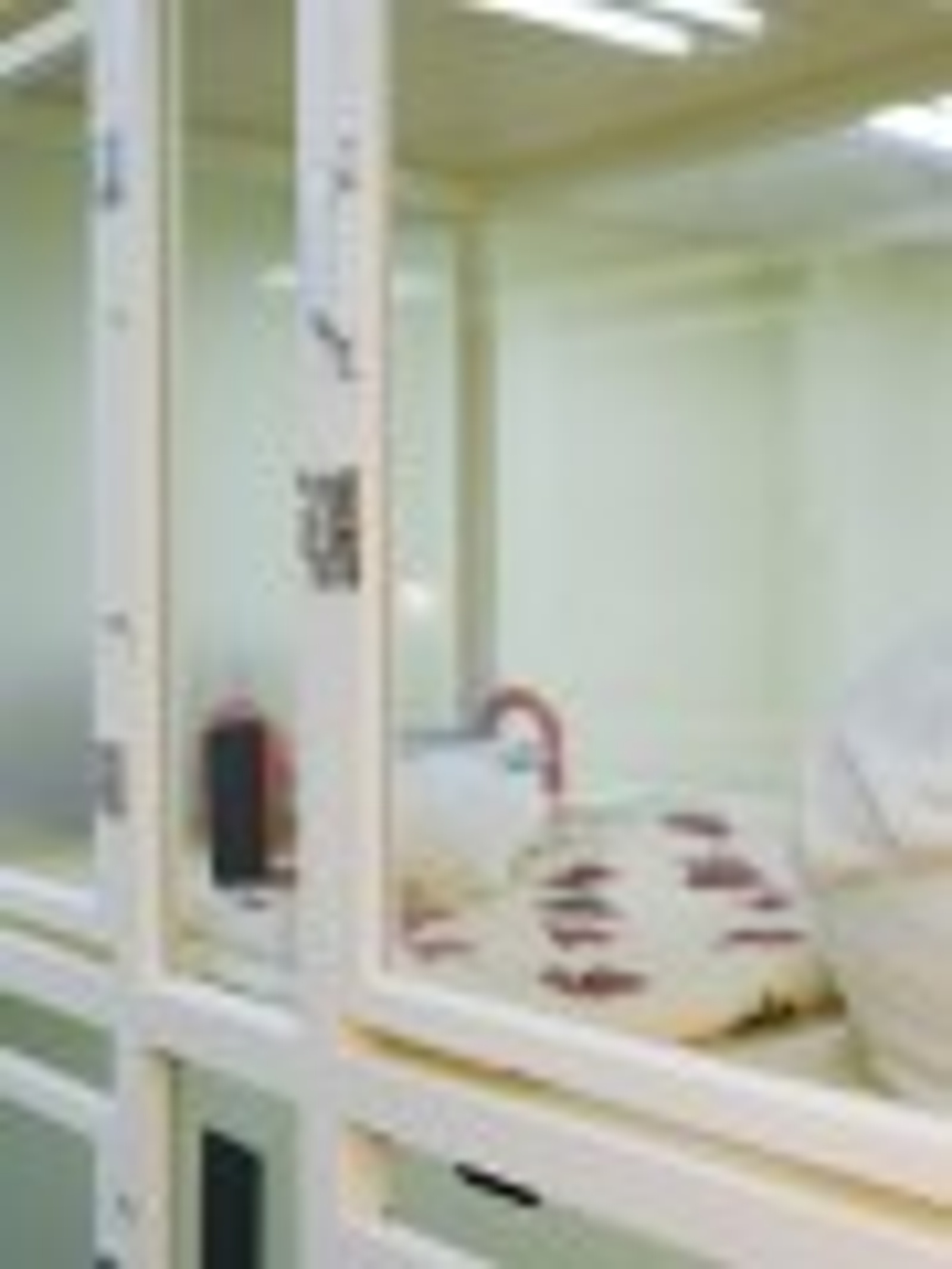 호텔 추가 사진 3