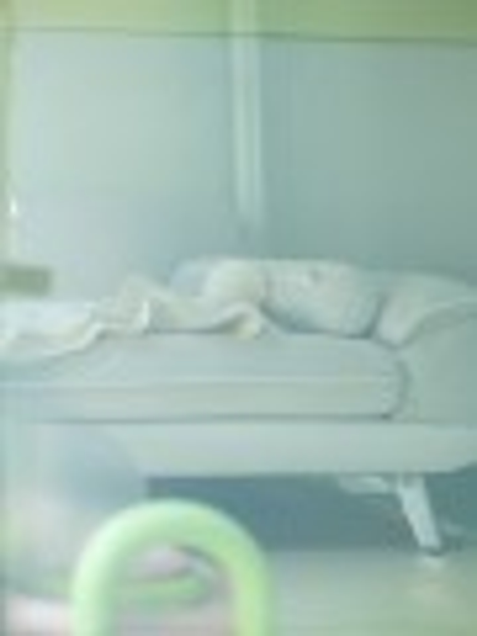 호텔 추가 사진 6